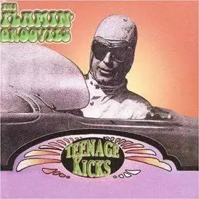 Couverture du produit · Teenage Kicks