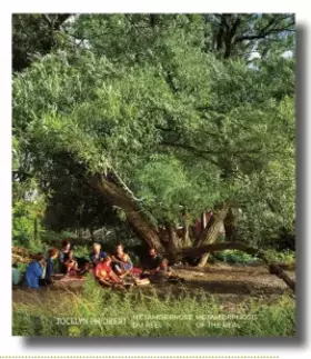 Couverture du produit · Métamorphose du réel