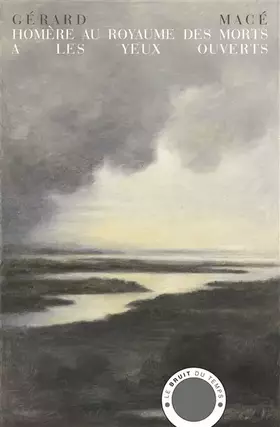 Couverture du produit · Homère au royaume des morts a les yeux ouverts
