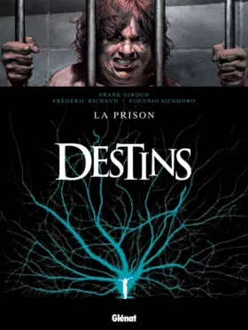 Couverture du produit · Destins - Tome 12: La Prison