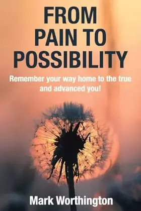 Couverture du produit · From Pain To Possibility