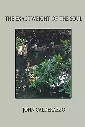 Couverture du produit · The Exact Weight of the Soul