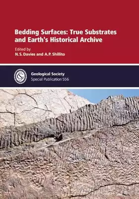 Couverture du produit · Bedding Surfaces: True Substrates and Earth's Historical Archive