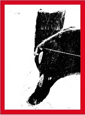 Couverture du produit · Felix