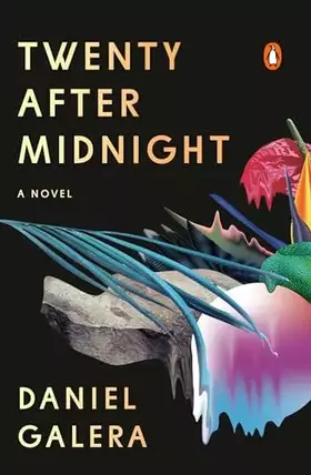 Couverture du produit · Twenty After Midnight: A Novel