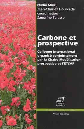 Couverture du produit · Carbone et prospective: Colloque international organisé conjointement par la Chaire Modélisation prospective et l'ETSAP. França