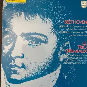 Couverture du produit · Sérénade En Ré Majeur, Op.8 Pour Violon, Alto Et Violoncelle /  Sérénade En Ré Majeur. Op.25 Pour Flûte, Violon Et Alto