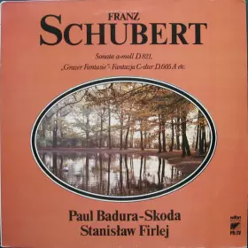 Couverture du produit · Sonata A-moll D.821 / "Grazer Fantasie" - Fantazja C-dur D.605 A Etc.