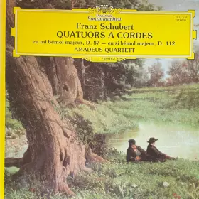 Couverture du produit · Quatuors à Cordes D.87 & D.112