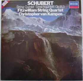 Couverture du produit · String Quintet In C Major, D.956, Op.163