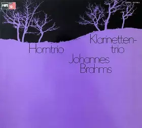 Couverture du produit · Horntrio - Klarinettentrio
