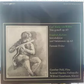 Couverture du produit · Trio G-moll Op. 63 / Introduktion Und Variationen Op. 63 / Fantasie D-dur