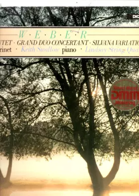 Couverture du produit · Clarinet Quintet - Grand Duo Concertant - Silvana Variations