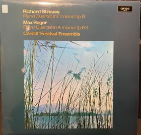 Couverture du produit · Richard Strauss: Piano Quartet In C Minor, Op. 13 - Max Reger: Piano Quartet In A Minor, Op. 133