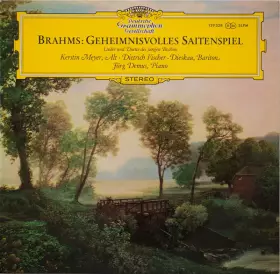 Couverture du produit · Geheimnisvolles Saitenspiel