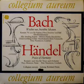 Couverture du produit · Weichet Nur, Betrübte Schatten / Praise Of Harmony