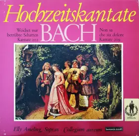 Couverture du produit · Hochzeitskantate