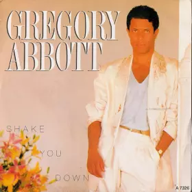 Couverture du produit · Shake You Down