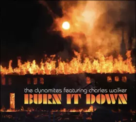 Couverture du produit · Burn It Down