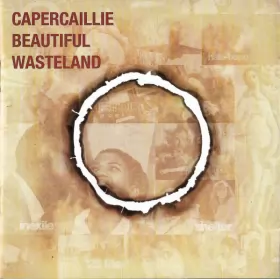 Couverture du produit · Beautiful Wasteland