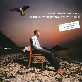 Couverture du produit · The Beautyful Ones Are Not Yet Born