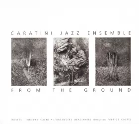 Couverture du produit · From The Ground