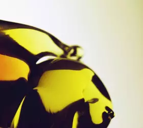 Couverture du produit · True Loves