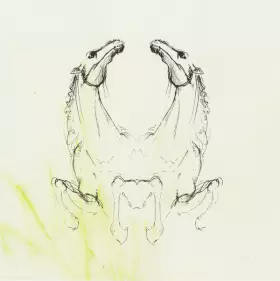 Couverture du produit · Tear It Down