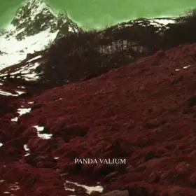 Couverture du produit · Bubo