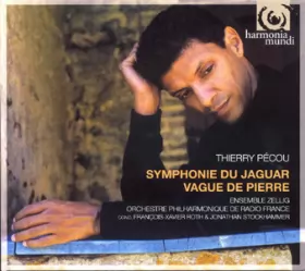 Couverture du produit · Symphonie Du Jaguar - Vague De Pierre