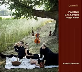 Couverture du produit · Pavel Haas, E. W. Korngold, Joseph Haydn