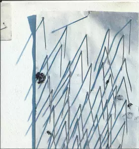 Couverture du produit · 51° Below