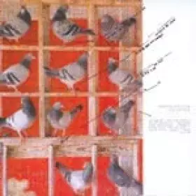 Couverture du produit · Pellicule