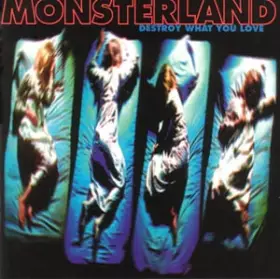 Couverture du produit · Destroy What You Love