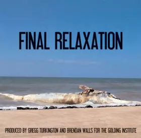 Couverture du produit · Final Relaxation