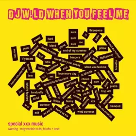 Couverture du produit · When You Feel Me