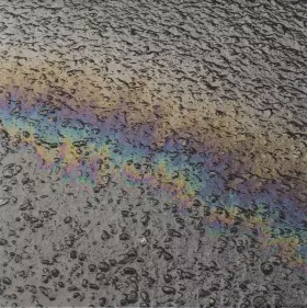 Couverture du produit · In Situ