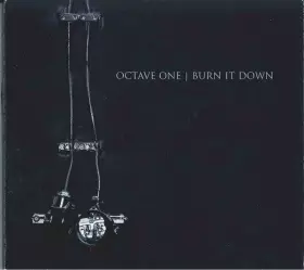 Couverture du produit · Burn It Down