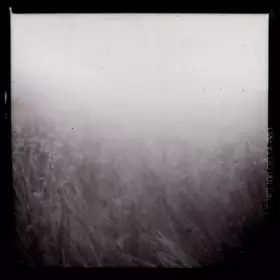 Couverture du produit · The Black Book Of Capitalism