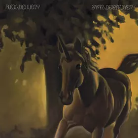 Couverture du produit · Star Destroyer