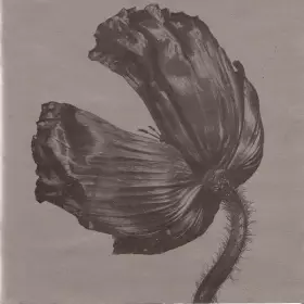 Couverture du produit · Release