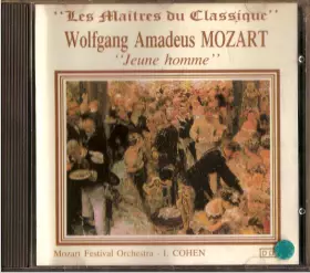 Couverture du produit · Les Maîtres Du Classique - "Jeune Homme"