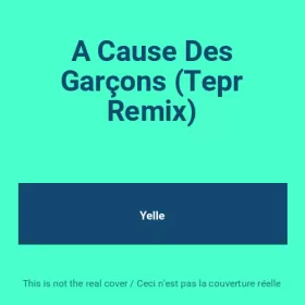Couverture du produit · A Cause Des Garçons (Tepr Remix)