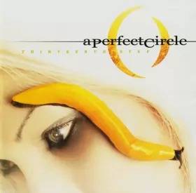 Couverture du produit · Thirteenth Step