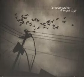 Couverture du produit · Winged Life