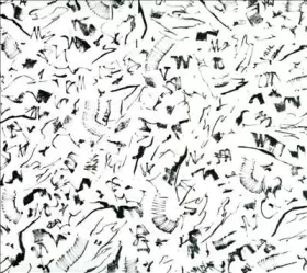 Couverture du produit · Sky Swimming