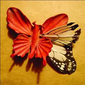 Couverture du produit · We Made This Ourselves