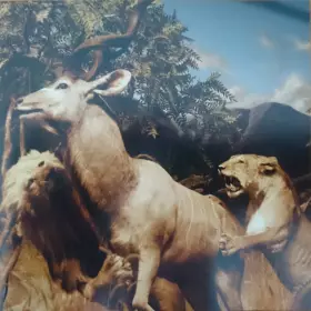 Couverture du produit · Our Love To Admire