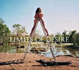 Couverture du produit · Limits Of Desire