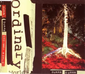 Couverture du produit · Ordinary World